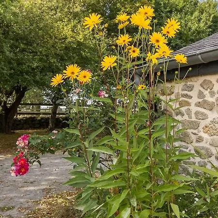 Maison De Charme Proche Côte Avec Jardin, 3 Chambres&equipements Bébé - Fr-1-306-1068 *